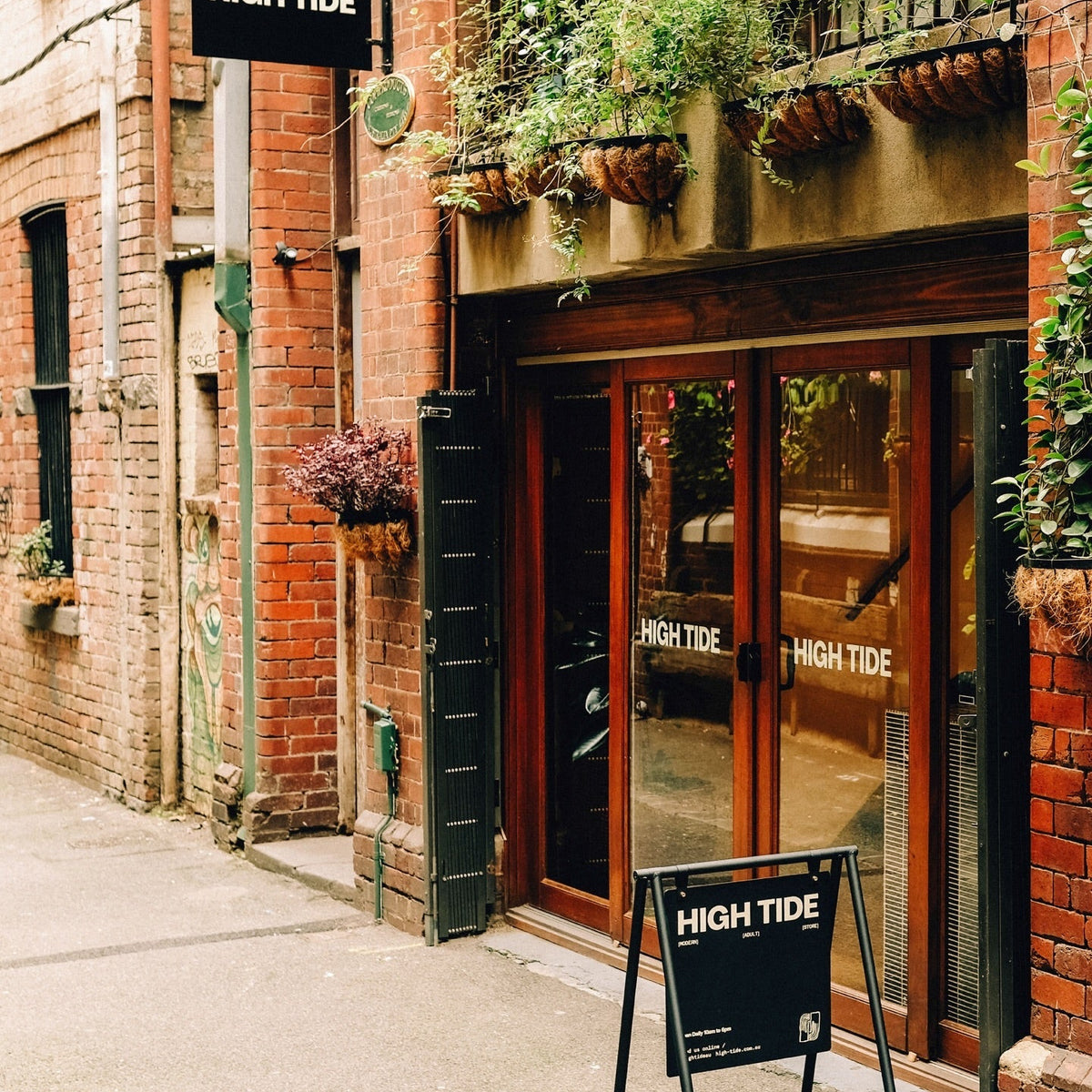 Top 10 Storefront Signs to Boost Curb Appeal (2026) – George and Willy